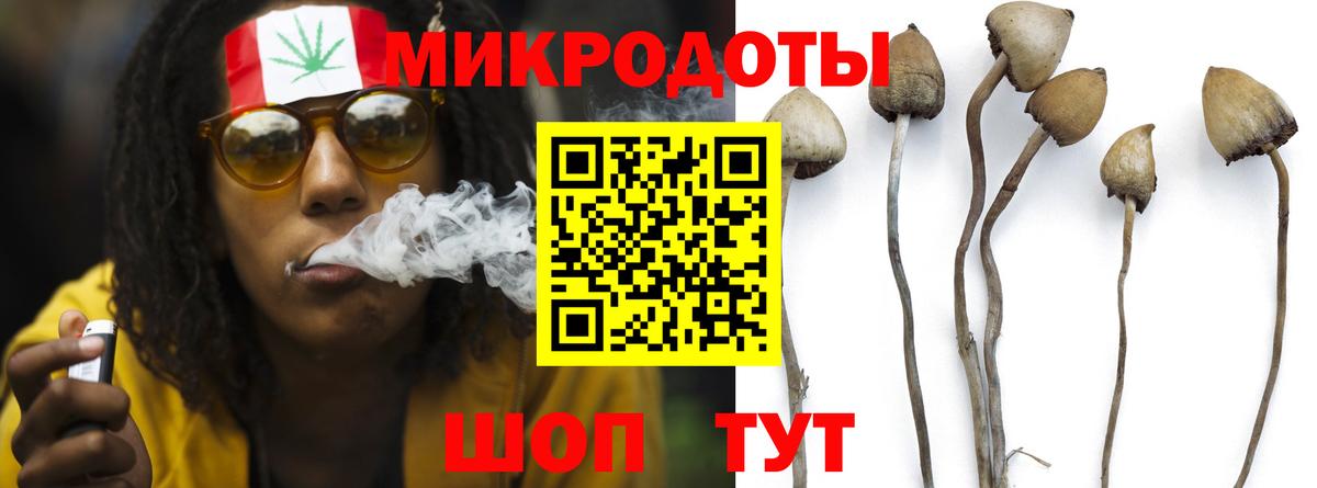 Майский  Псилоцибиновые грибы прущие грибы  Вход с VPN  Галлюциногенные грибы Magic Shrooms 